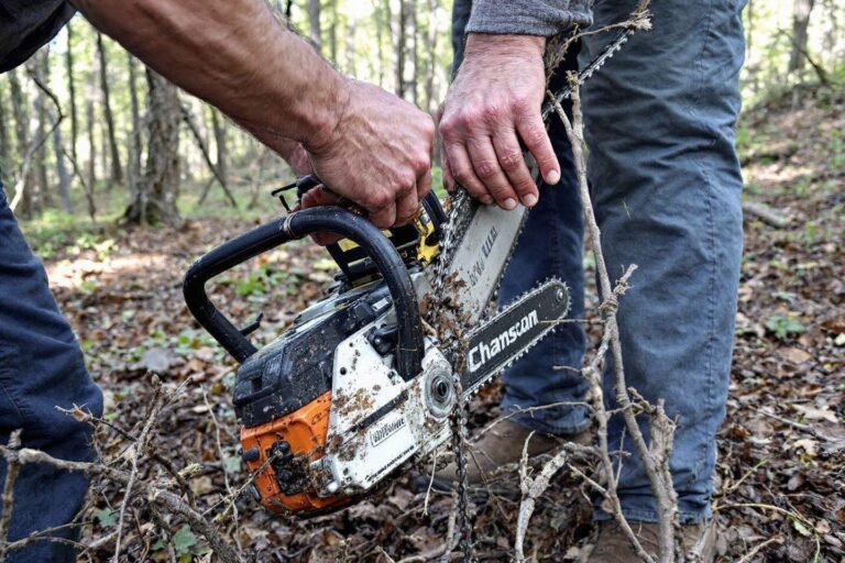 Comment affûter la chaîne de sa tronçonneuse : guide complet