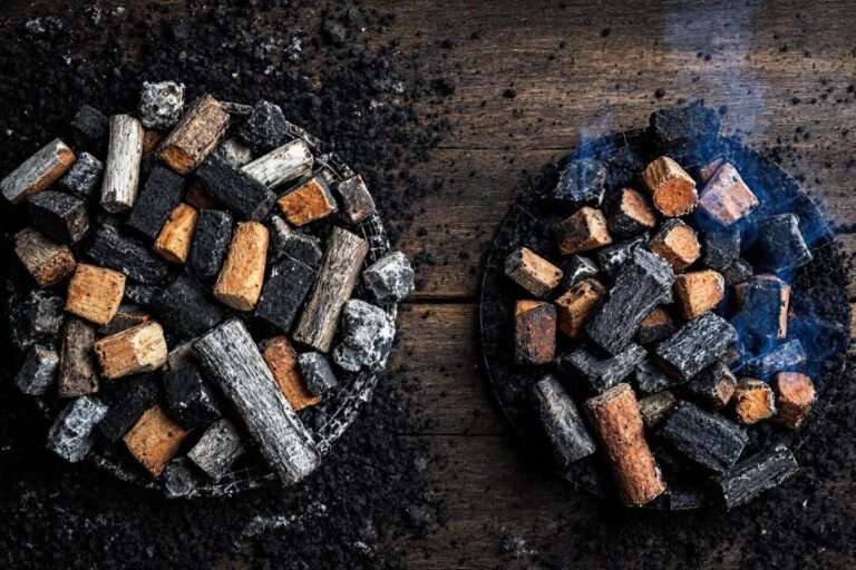 Charbon de bois ou briquettes : guide complet pour bien choisir